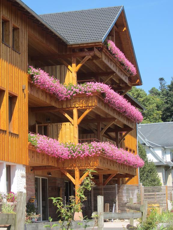 Les Gites D'Adelspach Gites & Spa En Alsace Aubure Exterior photo